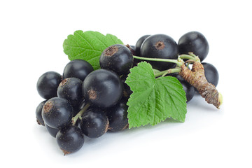 Black currant berries closeup