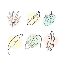 Set of vector summer leaves exotic palm. Isolated leaf icon on white background. Simple collection logo cartoon flat style illustration. Design for web, greeting card, decor, t-shirt