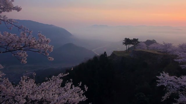 View of blooming trees in mountains, Asago, Hyogo Prefecture, Japan