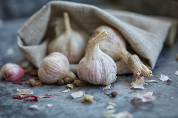 Garlic in a sack
