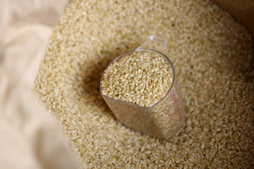 玄米の入った計量カップ