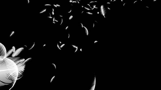 Feather fluffy falling in the wind background