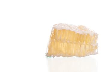 Honeycomb piece. Honey slice isolated on white background.