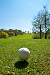  A golf ball on a golf course