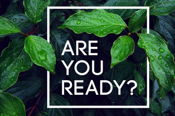 Question to the person are you ready? Start something new, start a new life, find your way