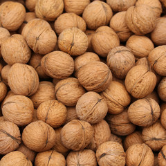 walnuts. natural background.