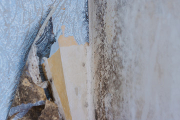 Water damage causing mold growth on the interior walls of a property
