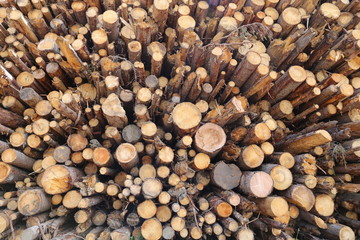 wooden house, pine logs, texture