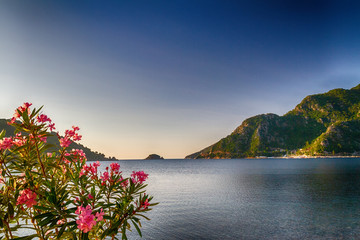 Bright flowers, sea, mountains and blue sky. Beautiful views of Marmaris in the summer
