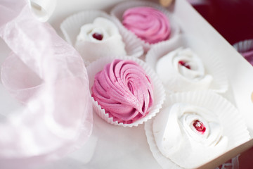 Fototapeta na wymiar Delicate sweet dessert. White and pink Marshmallow