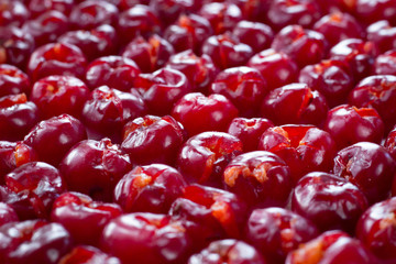 Pattern of fresh cherries prepared for  sun drying for conservation