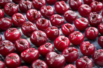 Pattern of mellow cherries prepared for  sun drying for conservation