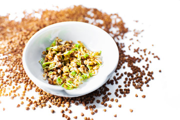 Fototapeta na wymiar Germinated green buckwheat in a white bowl and croup on a white background. Vegetarianism. Vitamins. Fagopyrum