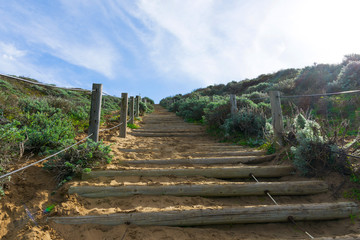Fototapeta na wymiar Stairway to ocean beach in Sanfrancisco