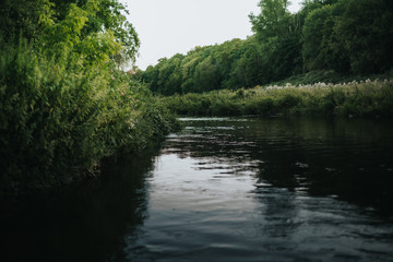 Fototapeta na wymiar scenic view of river with riverside vegetation