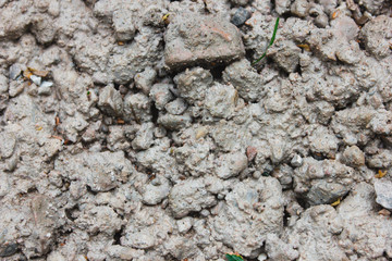 stone nature wet dirt earth asphalt road texture pebble monolith granite flint rock boulder cobblestone abstraction background