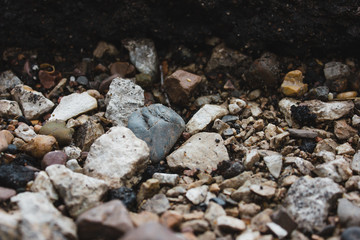 stone nature wet dirt earth asphalt road texture pebble monolith granite flint rock boulder cobblestone abstraction background