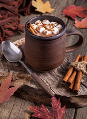 Cup of Hot Chocolate With Marshmallows and Cinnamon