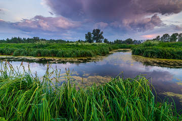 Lake with beautiful clouds on a summer day.