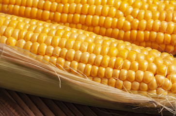 fresh organic corn on wooden table