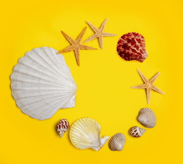 shell yellow background