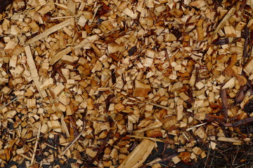 Background: Wood sawdust.