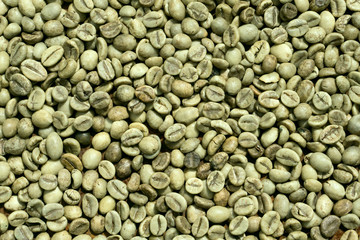Green coffee bean raw