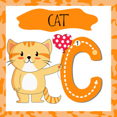 Letter C uppercase cute children colorful zoo and animals ABC alphabet tracing flashcard of Red Cat for kids learning English vocabulary and handwriting 