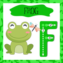 Letter F uppercase cute children colorful zoo and animals ABC alphabet tracing flashcard of Green Frog for kids learning English vocabulary and handwriting 
