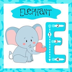 Letter E uppercase cute children colorful zoo and animals ABC alphabet tracing flashcard of Elephant for kids learning English vocabulary and handwriting 