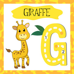 Letter G uppercase cute children colorful zoo and animals ABC alphabet tracing flashcard of Giraffe for kids learning English vocabulary and handwriting 