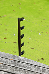Electric fence with insulators outdoors.