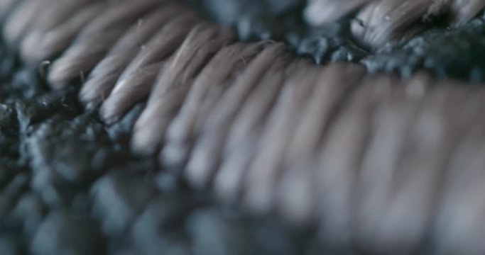 Close up of leather texture
