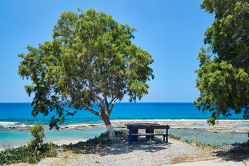 A wooden bench under a tree on the beach on the island of Rhodes in Greece.