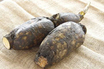 蓮根　泥付きレンコン