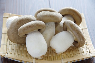 ホンシメジ　シメジ　キノコ