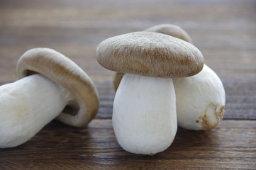 ホンシメジ　シメジ　キノコ