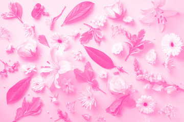Fototapeta na wymiar Creative layout with white flowers, paper circle for copyspace over neon pink background. Spring and summer concept