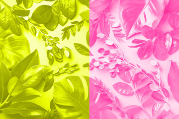 Creative layout made of tropical leaves in trendy neon pink and yellow colors. Flat lay. Top view. Mock up