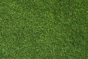 Obraz premium Background and texture of Beautiful green grass pattern from golf course