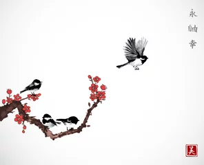 Kiefer, Sakura-Kirschbaum in Blüte und kleiner schwarzer Vogel auf weißem Hintergrund. Traditionelle orientalische Tuschemalerei sumi-e, u-sin, go-hua. Enthält Hieroglyphen - Zen, Freiheit, Natur, Schönheit © elinacious