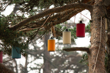 Colorful lambs on tree
