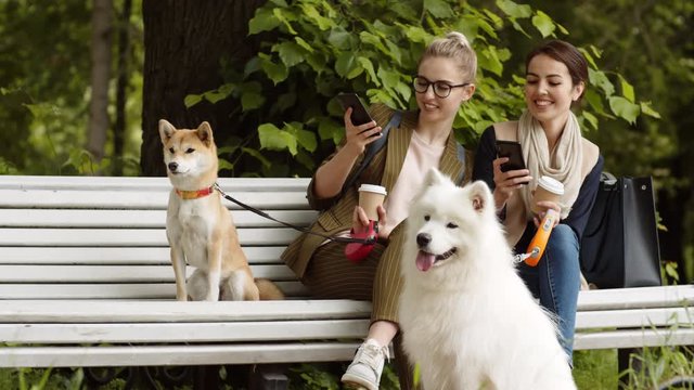 Medium shot of two female friends holding coffee paper cups sitting on bench outdoors and making photos of their dogs sitting nearby