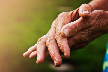 Hands of an old grandmother on a background of green glade close-up