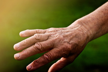 Fototapeta premium The hands of an old grandmother in the sun