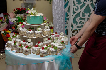 Wedding cake and cupcakes decorated with fresh flowers and berries. Beautiful and stylish wedding cake