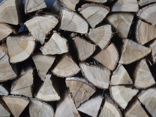 Fototapeta premium firewood - 薪（まき）