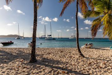 Saint Vincent and the Grenadines, coconut palms, Tobago Cays