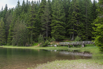 Wonderful view of Black Lake and thick forest in Durmitor park, Montenegro