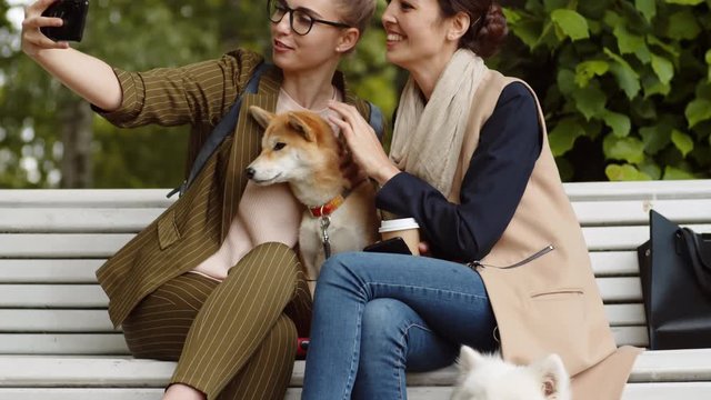 Tilt up of young blonde woman holding mobile phone in her hand taking selfie with her mixed-race female friend and Shiba Inu sitting nearby on bench while Samoyed lying on ground